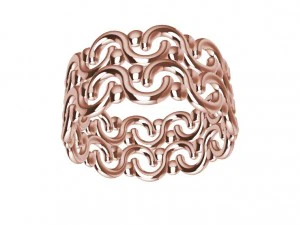 un anello diverso Modello di stampa 3D