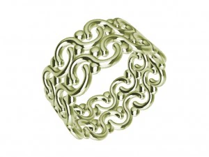 a different ring 3D Print Model