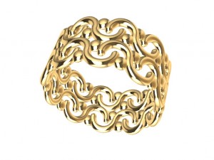 a different ring 3D Print Model