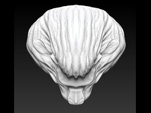 lion head 3D Model