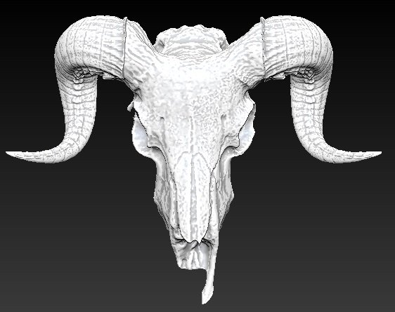 Чтобы продолжить, вы должны подтвердить, что... ram skull 3D Модели. 