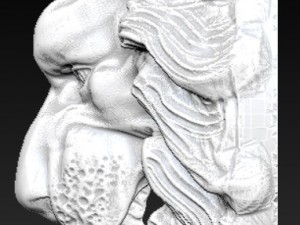 lion gerb Modèles 3D en vedette