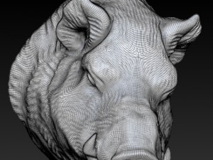 wild boar pig 3D प्रिंट मॉडल