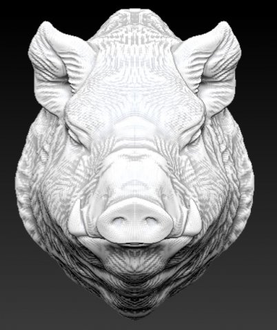 wild boar pig 3D प्रिंट मॉडल .c4d .max .obj .3ds .fbx .stl .blend 