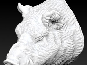 wild boar pig 3D प्रिंट मॉडल