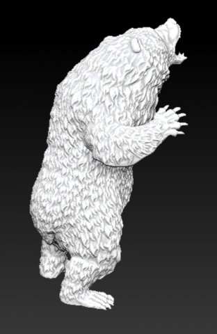 Download angry grizzly bear 3D Model