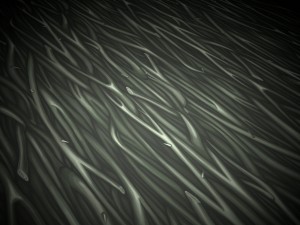 wood vol9 - hand painted texture pack CG Текстури