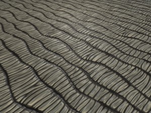 wood vol9 - hand painted texture pack CG Текстури