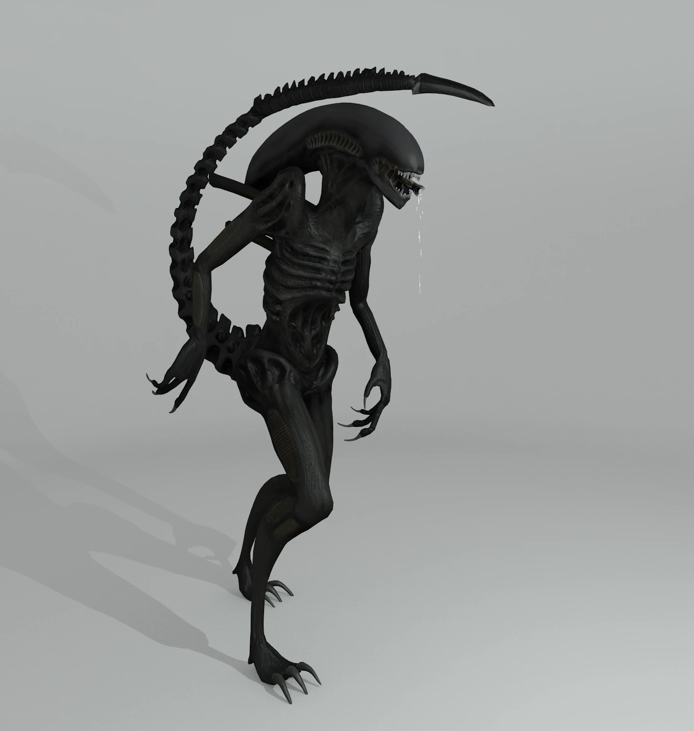 alien xenomorph rigged 3D Model .c4d .max .obj .3ds .fbx .stl .blend 