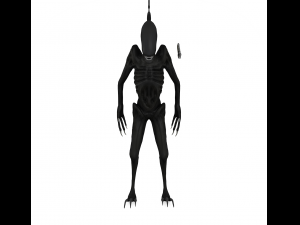 alien xenomorph rigged 3Dモデル