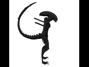 alien xenomorph rigged 3D Model
