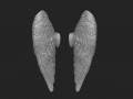 Little angel wings 3D print model 3D Print Models