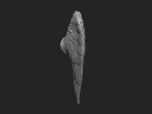 Little angel wings 3D print model 3D Print Model