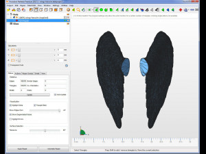 Little angel wings 3D print model 3D Print Model