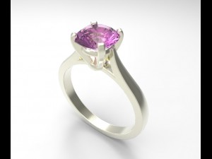 ring 1 3Dプリントモデル