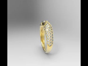 ring 01 3D Print Model
