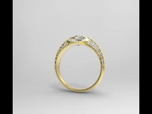 ring 01 3D Print Model