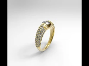 ring 01 3D Print Model