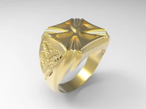 ring 04 3D Print Model