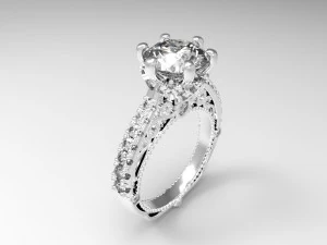 ring 1111 3D Print Model