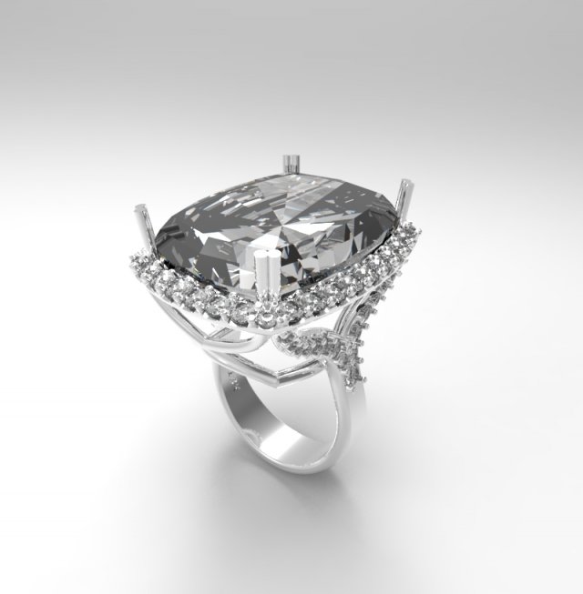ring 0224 3D-Druckmodell .c4d .max .obj .3ds .fbx .stl .blend 