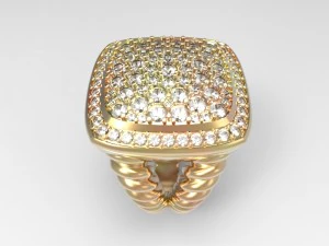 큰 반지 3D 프린트 모델