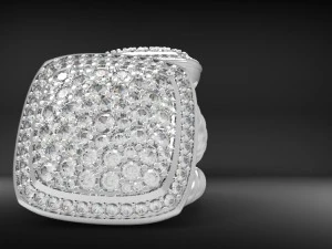 kanat ring 3D Print Model