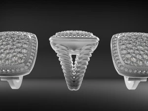 kanat ring 3D Print Model