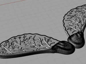 maple 3D Print Model