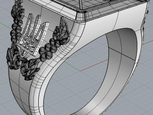 ring ukraine 3D Print Model