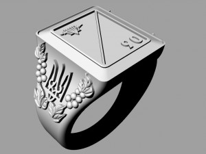 ring ukraine 3D Print Model