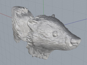 badger 3D Model