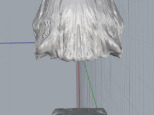 badger Model 3D