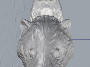 badger Model 3D