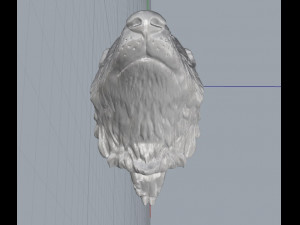 badger Model 3D