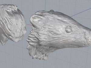 badger Model 3D