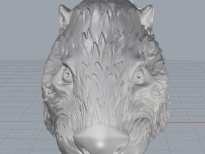 beaver 3D Model
