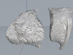 beaver 3D 모델
