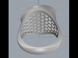 cupola ring 3Dプリントモデル