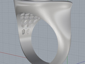 cupola ring 3Dプリントモデル