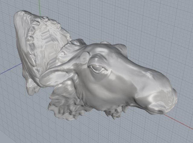 moose 3D 打印模型 .c4d .max .obj .3ds .fbx .stl .blend 