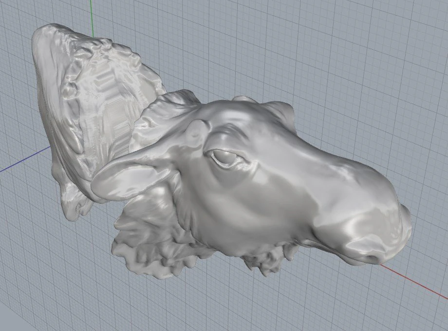 moose 3D Print Model .c4d .max .obj .3ds .fbx .stl .blend 