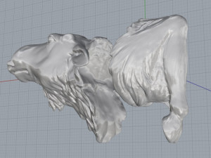 moose 3D 打印模型