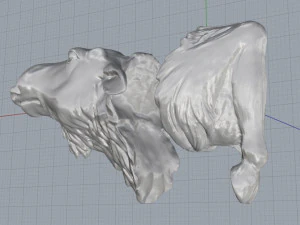 moose 3D Print Model