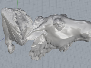 moose 3D 打印模型