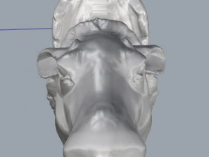moose 3D Print Model