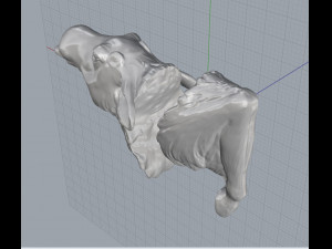 moose 3D 打印模型