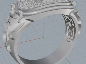 ring 5 3D Print Model