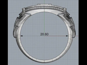 ring 5 3D Print Model