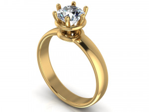 ring 6 3D Print Model